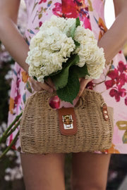 Abbott Top Handle Woven Handbag Natural